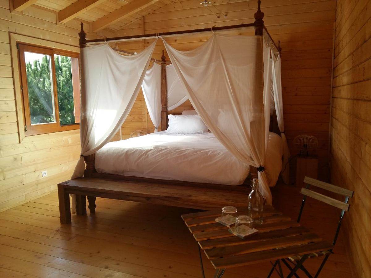 Ecolodge Bellevue アルビ エクステリア 写真